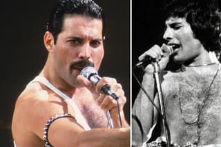Freddie Mercury († 45) bol najslávnejším spevákom svojej doby.