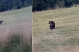 Obec obyvateľov žiada, aby boli opatrní.