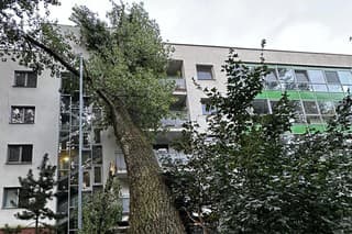 Strom poškodil fasádu a balkón bytovky.
