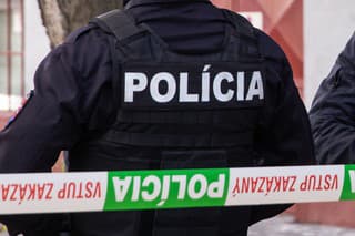 Polícia SR