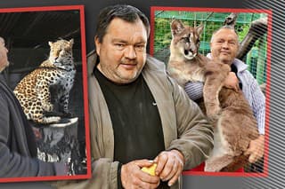 Leopard Nero bol jeho veľkým miláčikom.