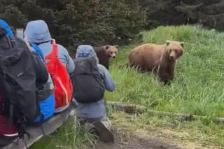 Video zachytáva, ako medvedica s mláďaťom prechádzajú okolo skupiny turistov sediacich na lavičke.