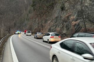 Na mieste sa tvoria sa rozsiahle kolóny. 