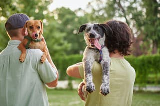 Support, care or happy family, men and kids bonding with foster puppy or pet and enjoying time together. High quality photo