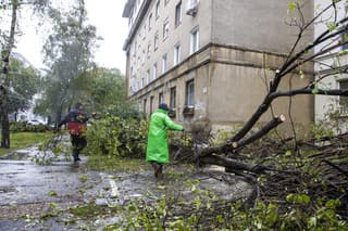 Spadnuté stromy na Miletičovej ulici v Bratislave.