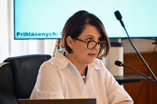 Predsedníčka Súdnej rady SR Marcela Kosová vyčíta svojmu predchodcovi Jánovi Mazákovi viaceré pochybenia. 