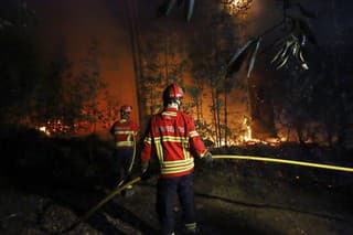 Hasiči hasia lesný požiar na predmestí Sever do Vouga na severe Portugalska.