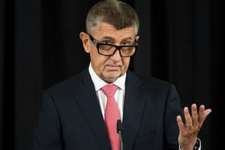 Na snímke predseda vlády ČR Andrej Babiš