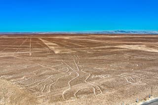 The Tree geoglyph at Nazca in Peru