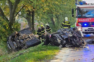 Alkohol u vodiča policajti nezistili.