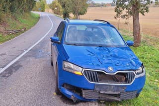 Na idúce auto spadol na Záhorí odlomený strom.