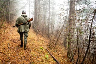 Back view of a hunter with rifle walking up the hill in the forest.