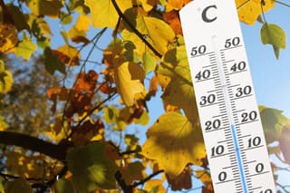 Thermometer in front of an autumn colored tree