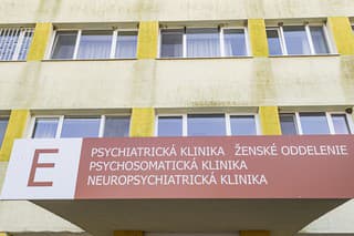 Psychiatrická nemocnica Philippa Pinela v Pezinku (ilustračné foto).