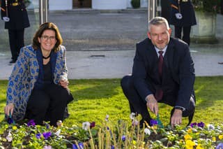 Spoločne zasadili oranžové tulipány.