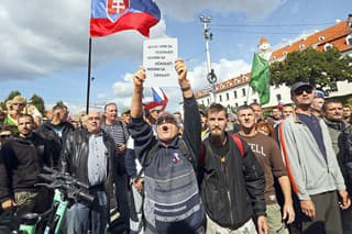 Protesty proti pandemickým opatreniam boli častým dôvodom udeľovania pokút.