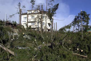 Na archívnej snímke z 20.novembra 2004 polámané stromy v Starom Smokovci vo Vysokých Tatrách, deň po ničivej víchrici, ktorá sa prehnala Slovenskom. 