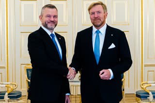 Na snímke zľava prezident SR Peter Pellegrini a holandský kráľ Viliam-Alexander počas ich stretnutia v Haagu.