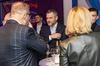 Slávnostná premiéra tanečno-divadelnej šou Love2dance. Na snímke je Peter Pellegrini.