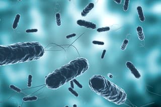 Colony of vibrio cholera seen by electron microscope. Selective Focus. 3D rendering