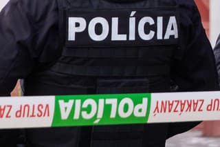 Polícia SR