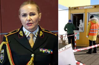 Podľa Maškarovej sa začali 3 trestné stíhania. 