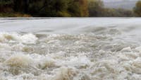 Stav riek na Slovensku je alarmujúci: Organizácie sa spojili, aby oživili 350 kilometrov tokov!