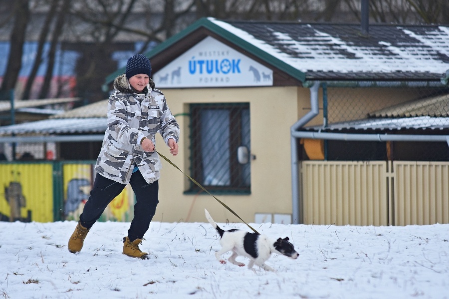 Mesto Poprad ani tento