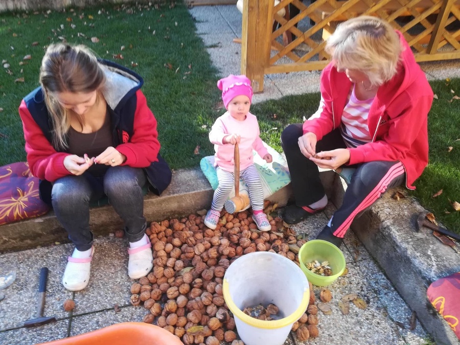 Rodine Krátkych rastú orechy