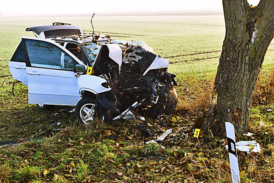 Auto s piatimi mladými