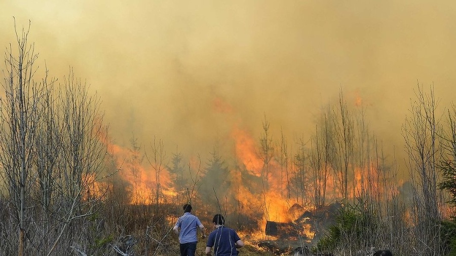 Lesný požiar pod Smokovcami