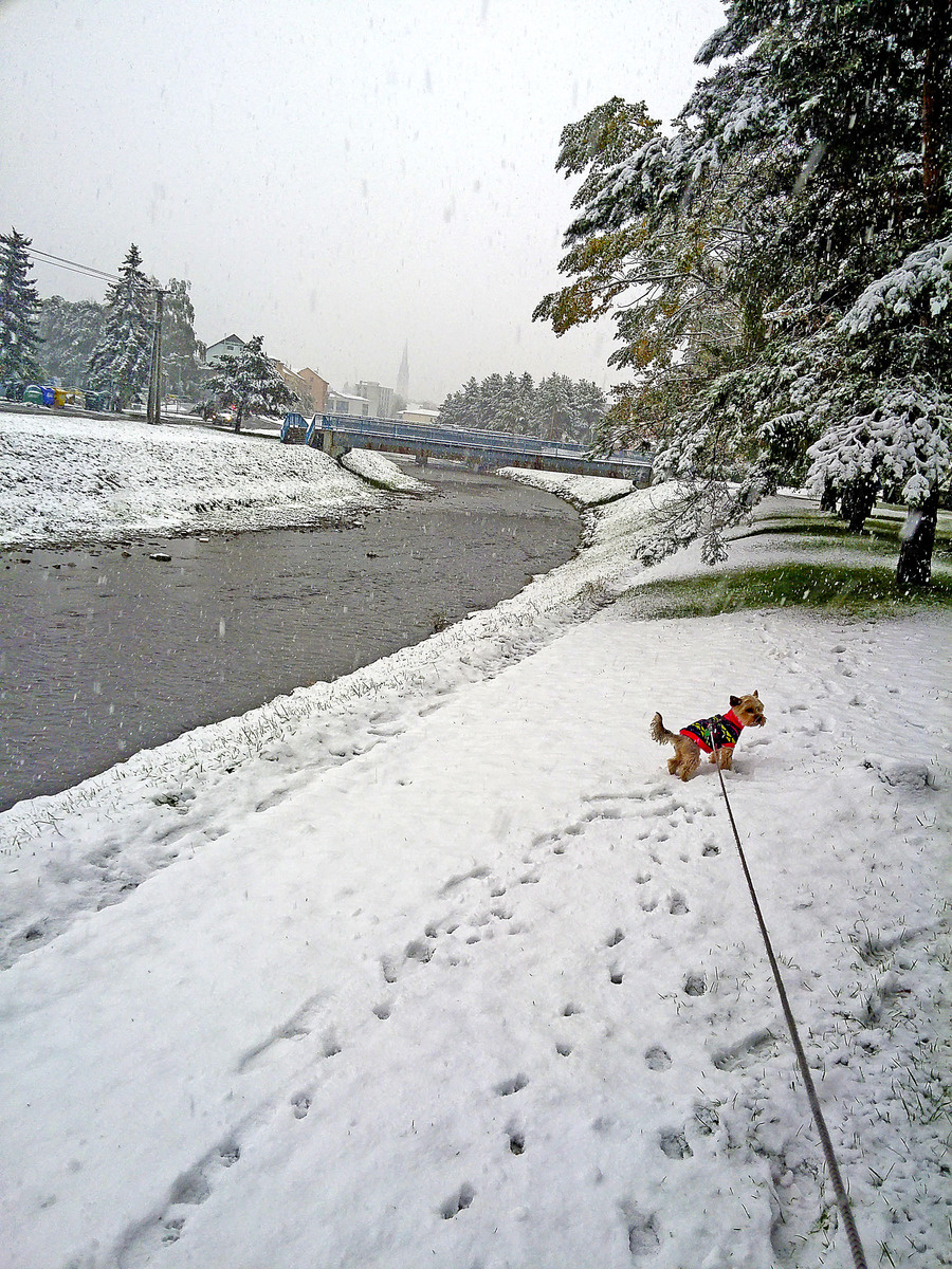 Spišská Nová Ves