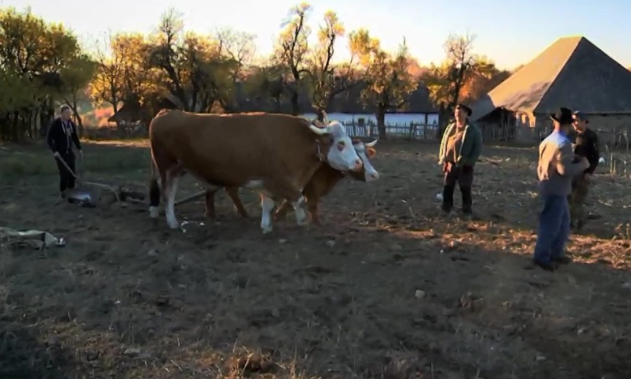 Farmári sa s volmi