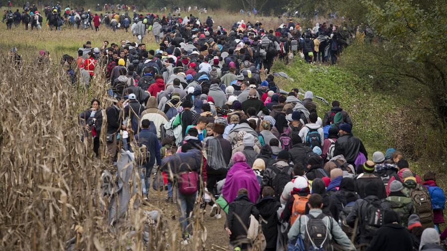 Utečenci kráčajú cez pole