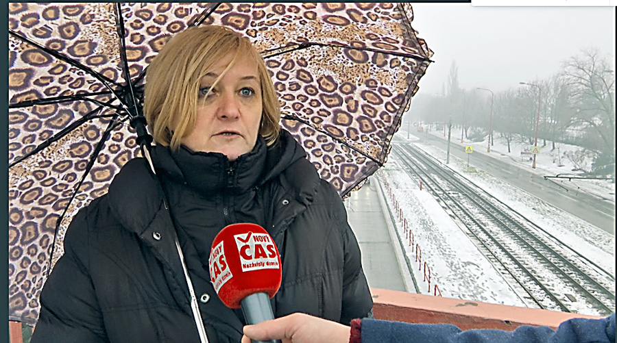 profesorka Ľ. Řezníčková