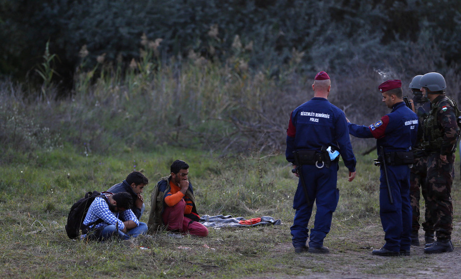 Migranti sedia na zemi