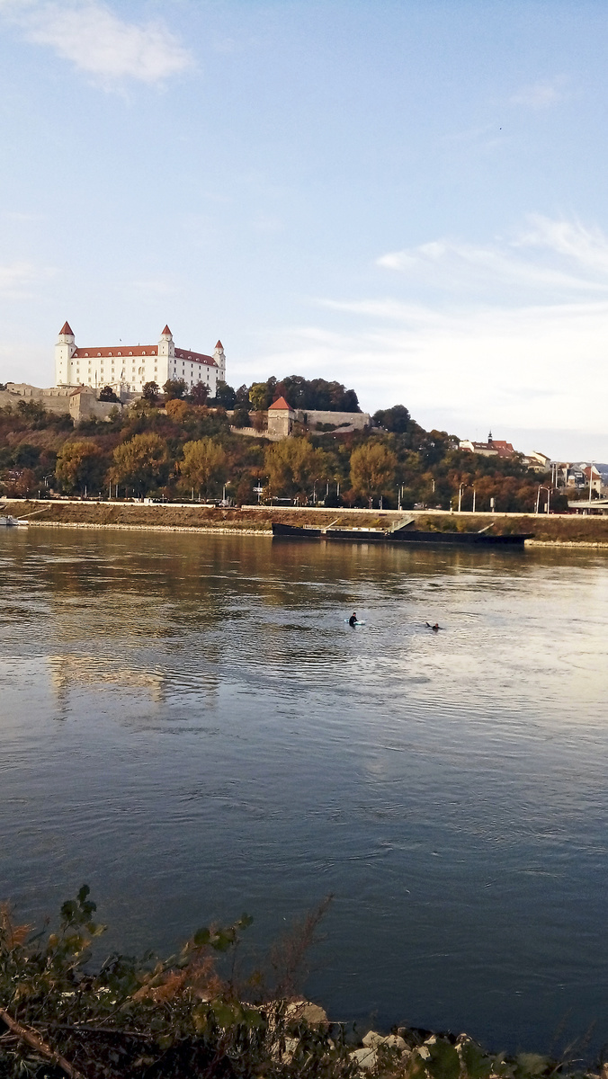 Odvážlivci plávali na Dunaji