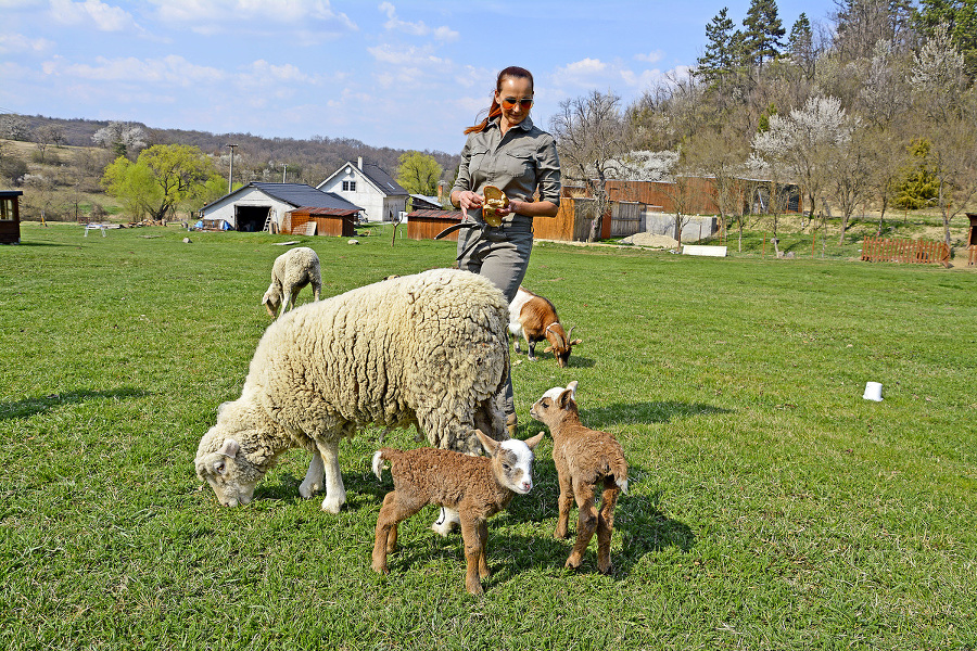 Maťka, Slovensko - 2