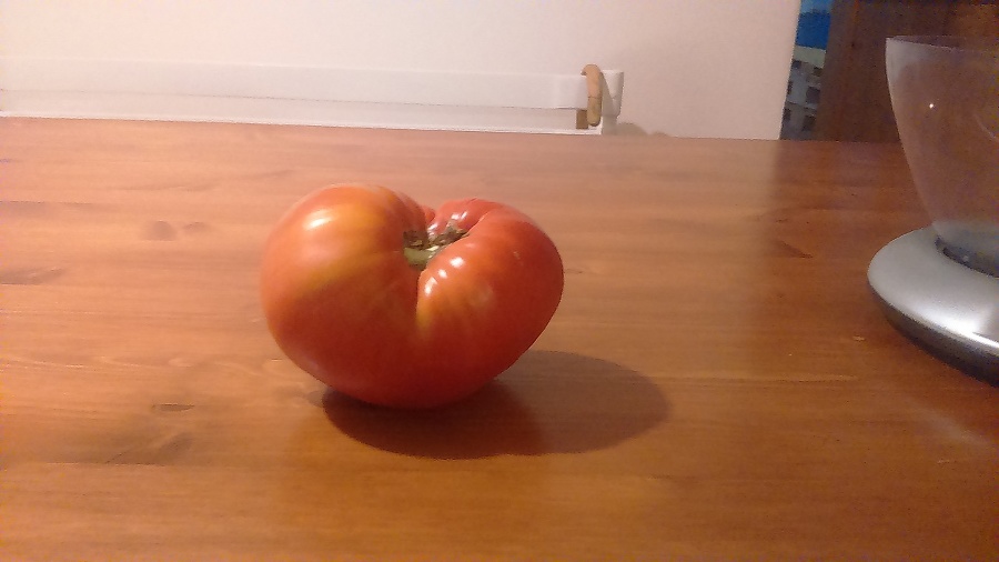 Pavel vypestoval obriu paradajku.