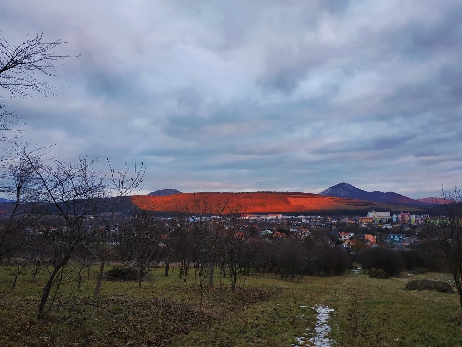 Petra si všimla krásny