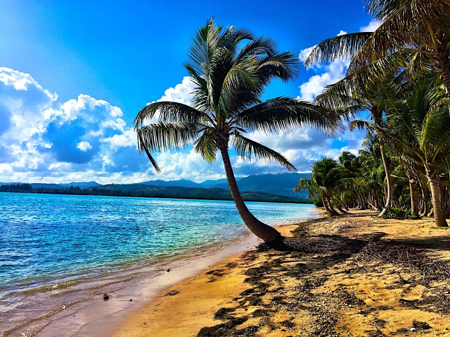 Beach in Puerto Rico