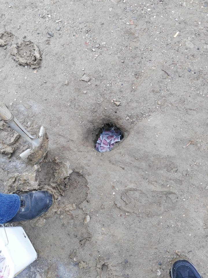 Potkany za sebou zanechávajú hotovú spúšť.