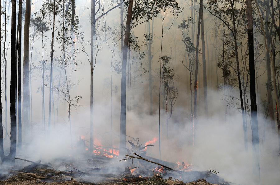 Požiar lesa v Austrálii.