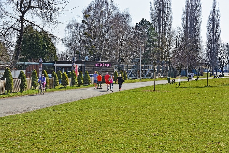 V parku, Košice