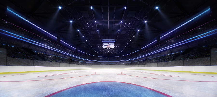 hockey and skating stadium