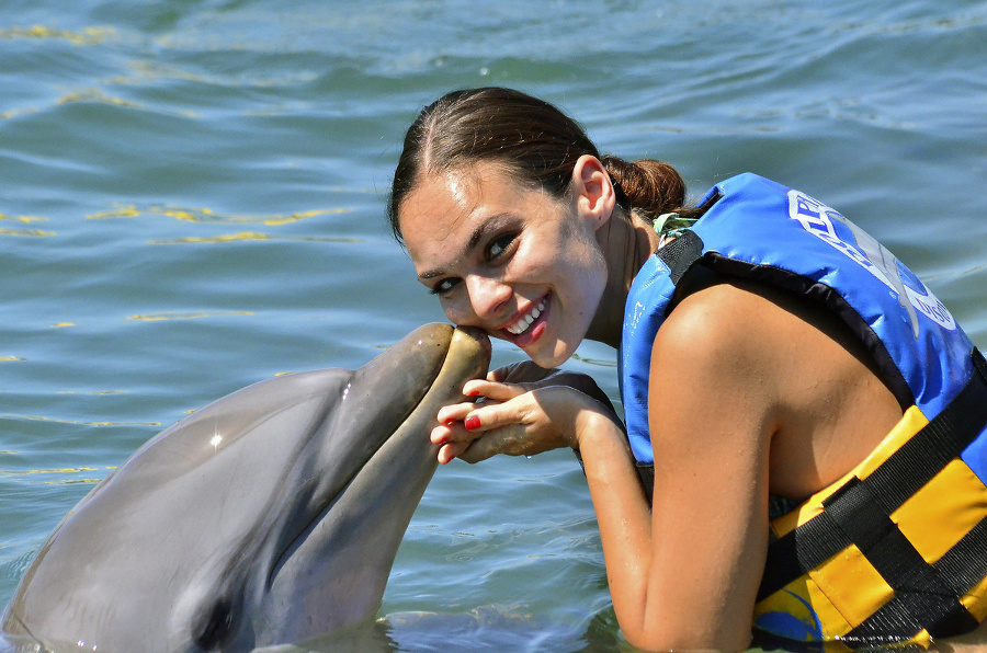 Plávanie s delfínmi:  Je