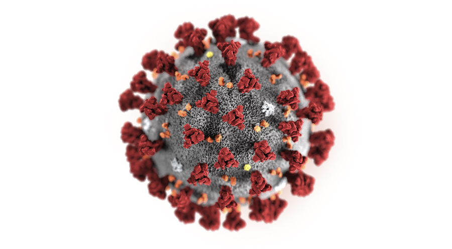 COVID-19: Proti novému vírusu