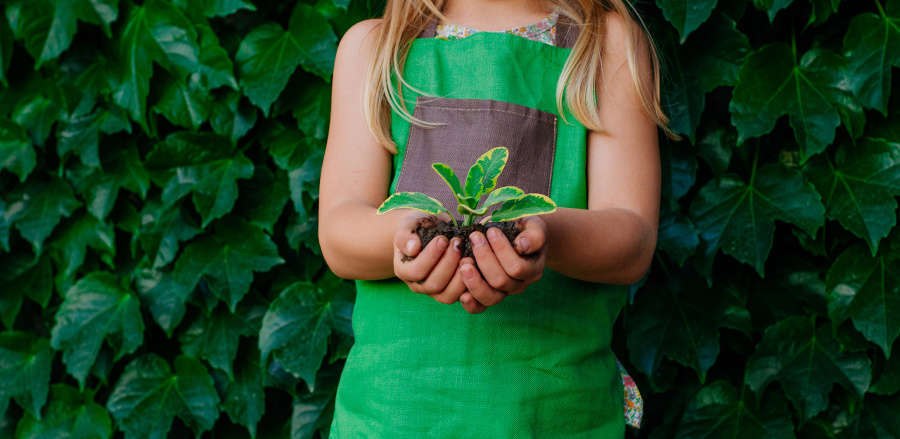 Little girl holding sprout