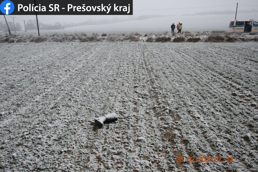 Pri nehode zahynul 40-ročný cyklista.