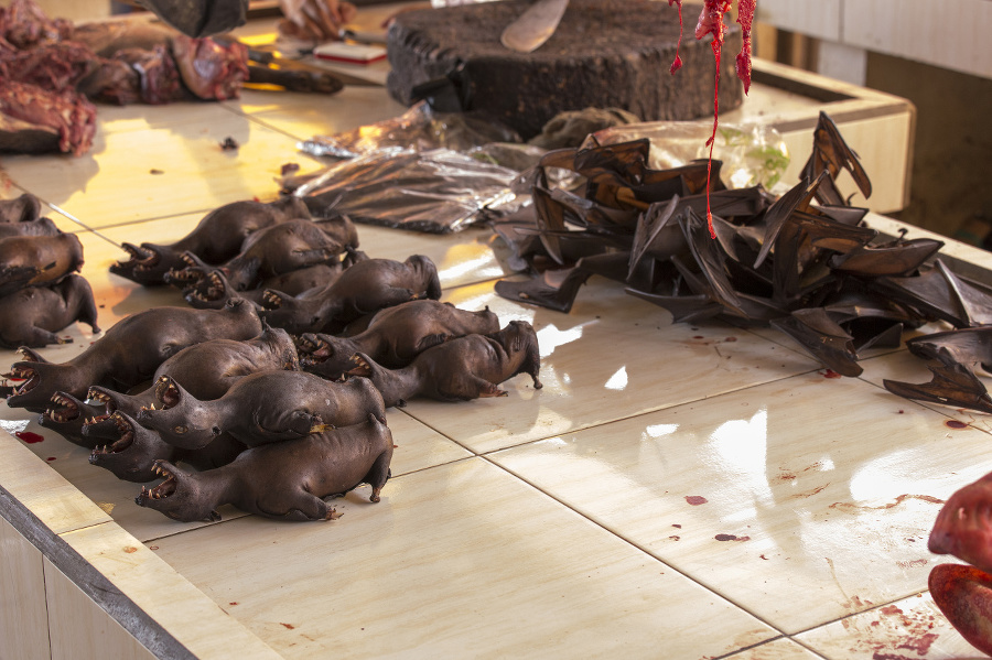 Roasted bats at Tomohon